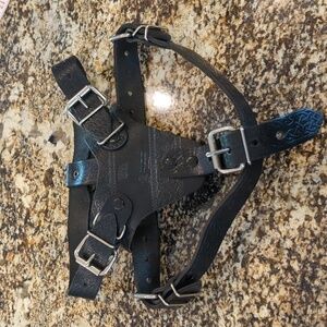 Olde Armoury Leather Black Buckle Harness LA Mesa CA
